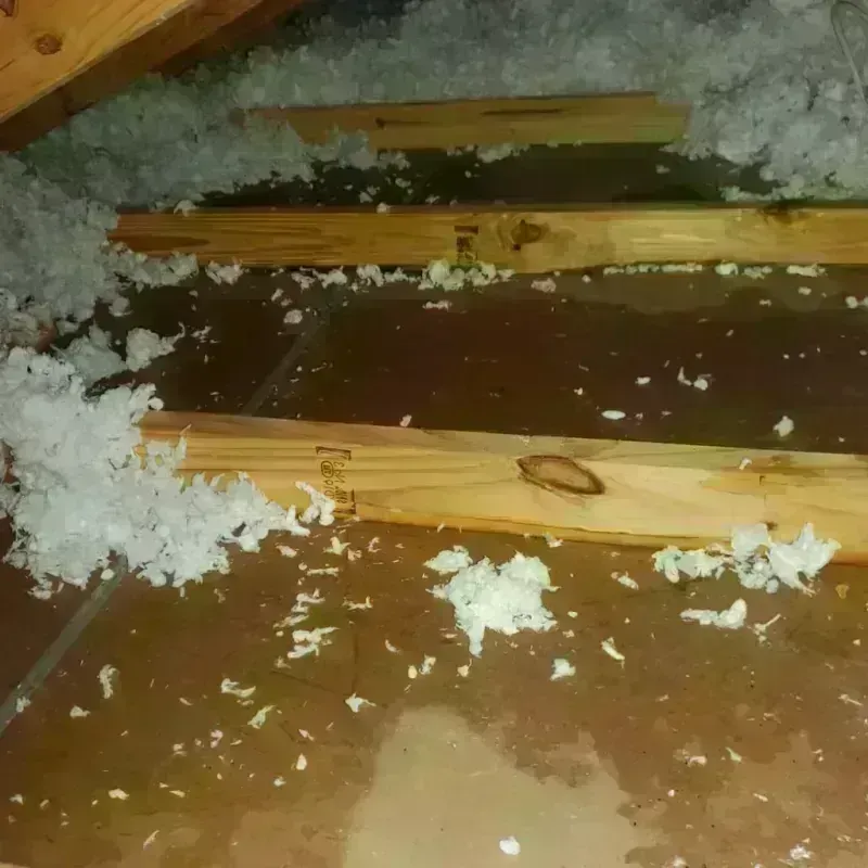 Attic Water Damage in Tuskegee, AL